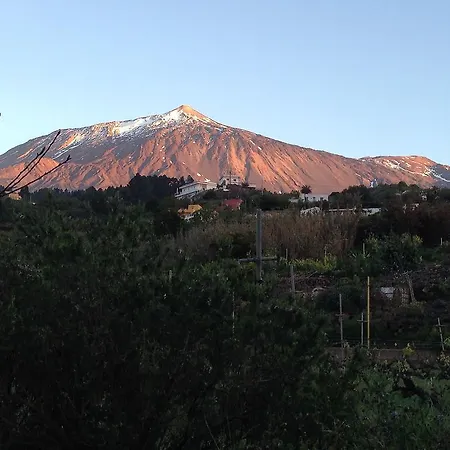 Farm Finca Weinberg Icod De Los Vinos